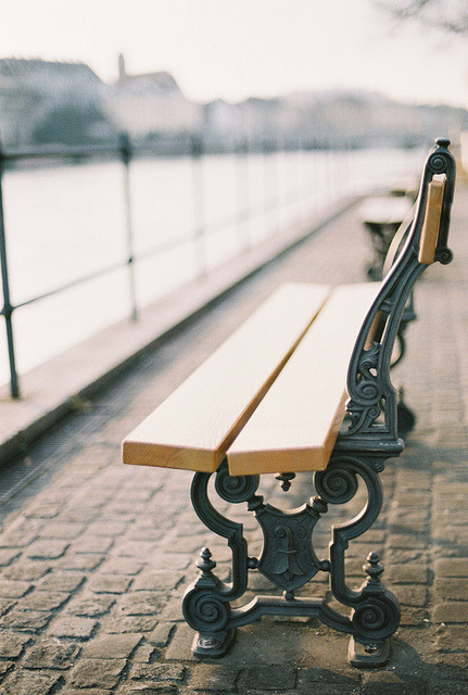 gravity:Bench beside Rhine River by liangxs on Flickr.