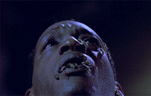 horrorfilmgifs:“They will say that I have shed innocent blood. What’s blood for, if not for shedding?”CANDYMAN (1992) dir. Bernard Rose
