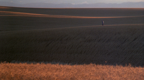 alternativecandidate: Days of Heaven (1978)“Great elemental forces–embodied in fire, water, the land