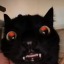latkazmchu