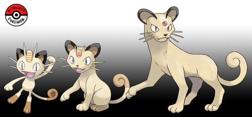 #052.5 - Meowth tend to live in urban areas, where they wander the streets at night in search of foo