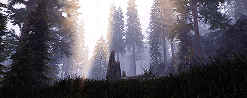 keldornfirecam:Semirealis ENB (x)