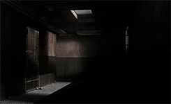 Were All Infected: A Teen Wolf Zombie AU
