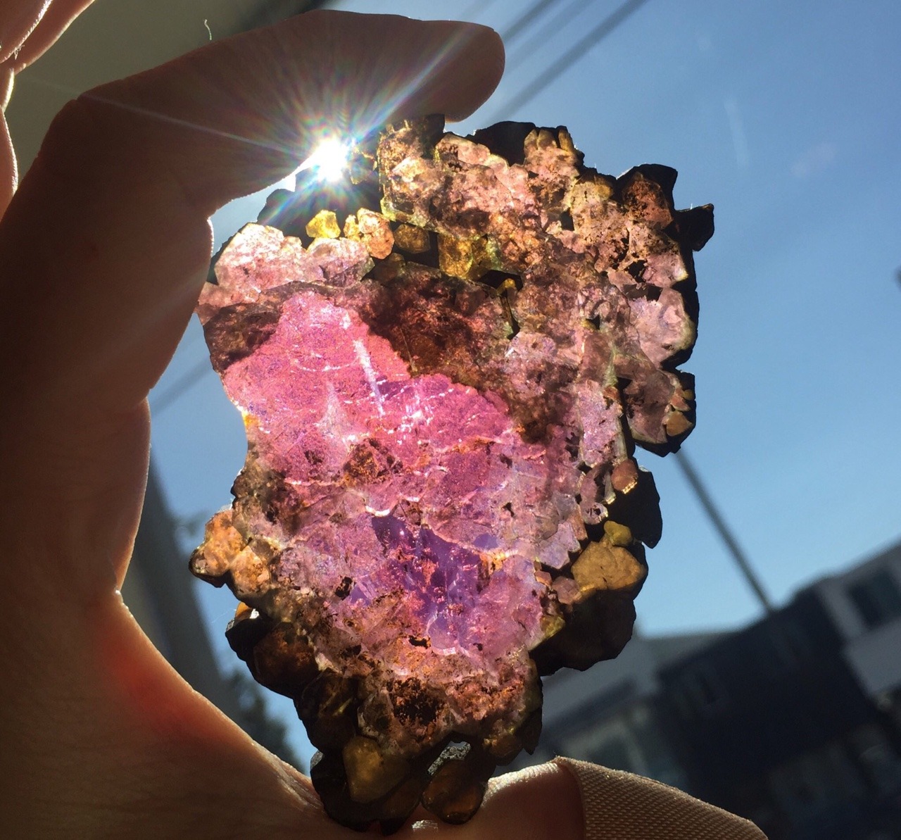 crystalarium:  Big ole’ tourmaline slice!💖💖💖 It’s got pink, green and
