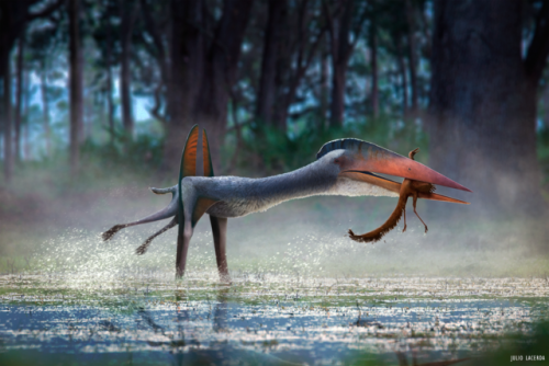 paleoart:  The famous Romanian azhdarchid pterosaur has recently been reinterpreted as having a rela