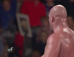 wrestlingchampions:  Stone Cold Steve Austin d. The Undertaker &amp;   HHH (w/Chyna) in