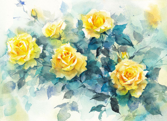 Yellow Rose Sep.27,2018 watercolor size:333*242mm (F4) paper:arches (細目・300g/m2)