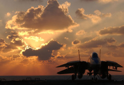 fcba:  An F-14 Tomcat from VFA-31 sits on the flight deck of the USS Theodore Roosevelt during the last operational deployment of the Tomcat on January 15, 2006. VFA-31 was deployed in support of the Global War on Terror. (USN photo by Lithographers Mate