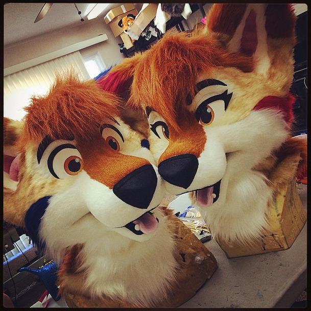 jack-the-lion:  donthugcacti:Bisbee &amp; Chipiltin coyotes - a matching suit