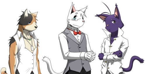 innocent-gamer-shun:  ~Neko Neko Neko~