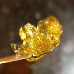 errld:  Bubba. What’s on your dabber? #goldslabs #claritycounts #ifitdontshatteritdontmatter   #errlsquadwww.errld.com