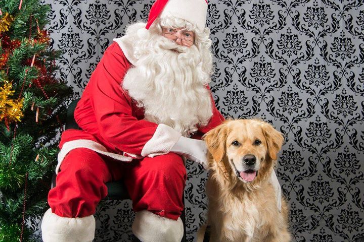 bambed:  gUYS there is a mall santa in my town that takes photos exclusively with