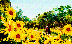 tyrells:  Oz the Great and Powerful - Scenery 