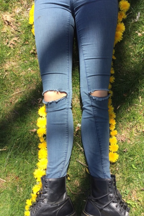 chrysalismeretrix: @acidicdandelions