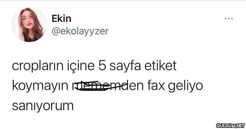 Dnwşdjwldupsuspsıdğwıdğeıd...