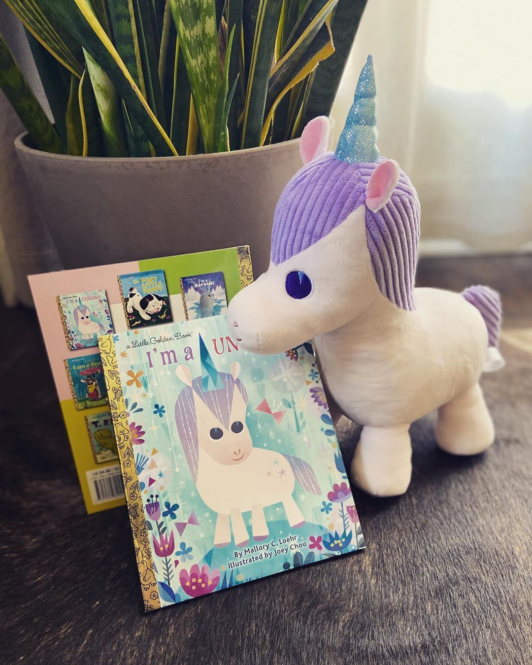 kohls cares unicorn book
