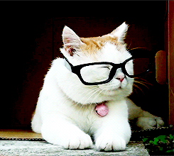 *giggles*