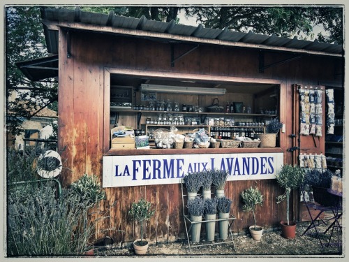 La Ferme aux Lavandes, Sault, Vaucluse, 2016.Roadside lavender stand on the road down from Mt. Vento