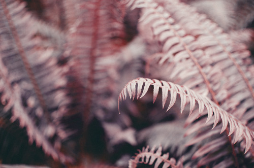deeplovephotography:  instagram | prints | facebook 