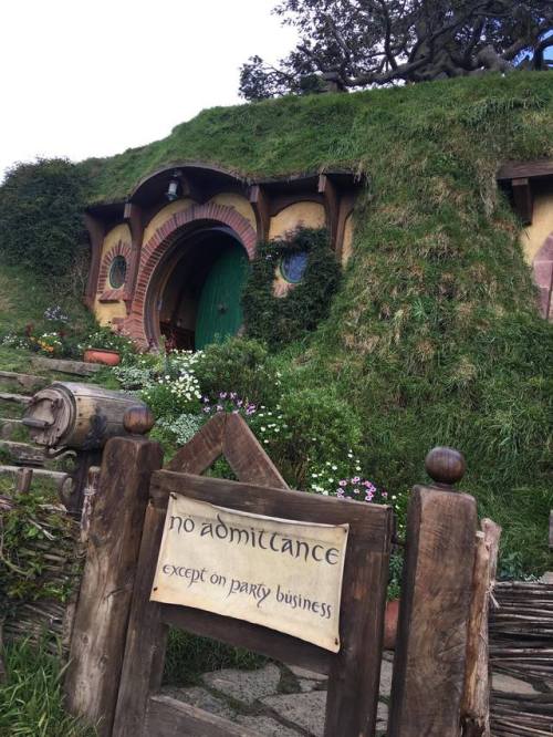 I had the pleasure of visiting Hobbiton in New Zealand yesterday. I recommend it so highly and the p