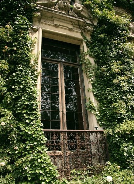 vintagepales:    “L'amour ne périt jamais”    