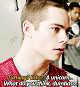 stiles + sarcasm