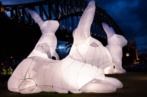 archiemcphee:
“These awesome illuminated inflatable white rabbits are the work of Australian artist Amanda Parer for an installation entitled Intrude. In May 2014 the giant glowing bunnies were installed at the Vivid Festival of Light Sydney and next...