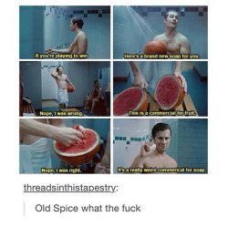 advice-animal:  Old Spice has the best adsadvice-animal.tumblr.com 