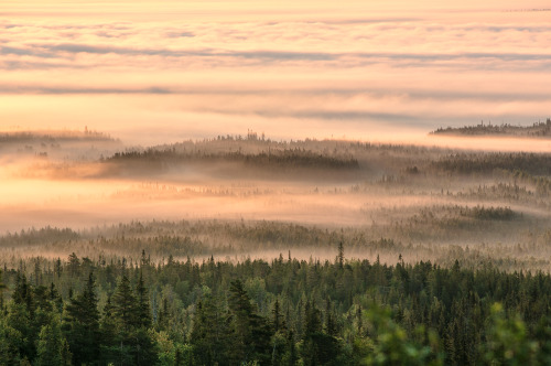 tiinatormanenphotography: Sunset view.  Syöte national park, Finland. 2015 by Tiina Tö