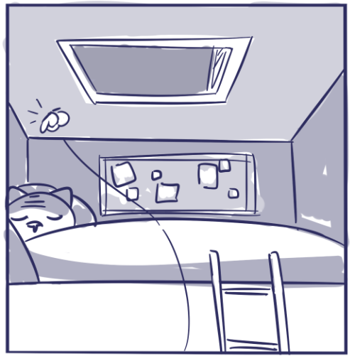 cluckycharmer: letting the moth loose in her bedroom was a mistake