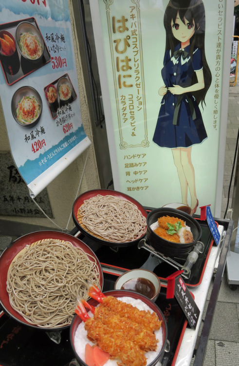 ninetail-fox:soba (noodle) restaurant ,Akihabara