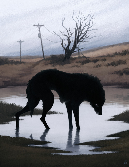 dappermouth:Some days when the rainfall has flooded the ground, the sign of the wolf appears outside