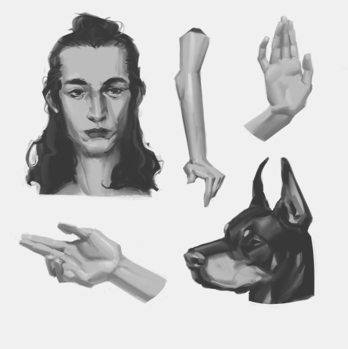 almost forgot, didnt post studiesdigital painting studies (from mostly 2020) that I liked!