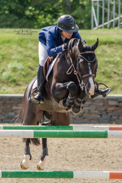 sit2beats: Super ponyⒸLevitt Equine Photography | ig: glphotography_~Click for high-res~