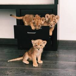 luxurylearry:  my upload ❤️ 