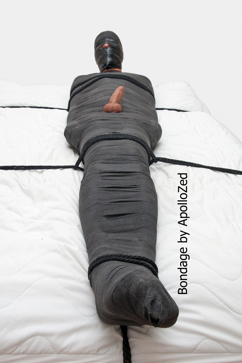apollozed:Vet wrap, vinyl tape, and ropes = secured