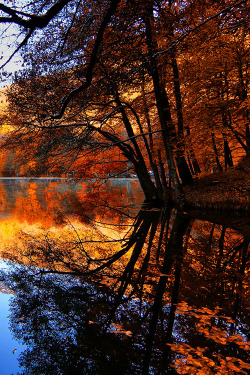 earthyday:  Autumn  by Erhan Asik 