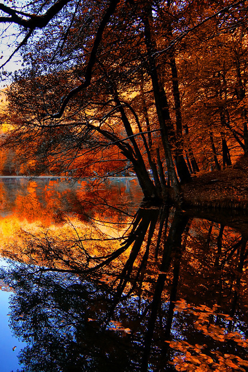 Porn photo earthyday:  Autumn  by Erhan Asik 