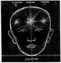 chaosophia218:  Walter Russell - The Divine Trinity, “The Message of the Divine Iliad”, 1949.The eternal spiritual man is the magnetic Light which God is. Man’s Knowingis centered in the seat of his Consciousness which is located in the centre