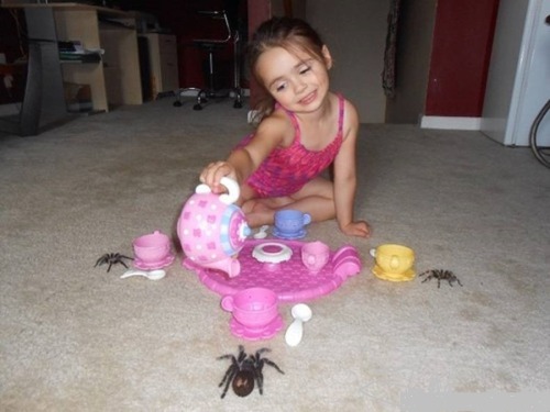 Tea party with spiders :) #reviews