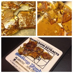 terpsincluded:  Blueberry Skunk #shatter