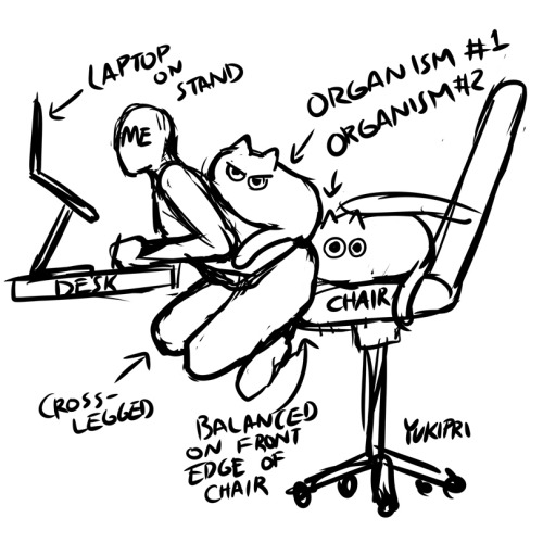 Haven't Been Feeling Great About My Posture. Does Anyone Have Any Advice. Here's A Super Rough Sketch