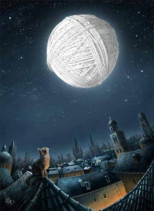 XXX mysticallion: To my cat the moon is bright photo