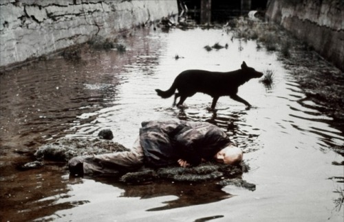 Tarkovsky created some of the most beautiful and astonishing movie scenes in the history of cinema. 