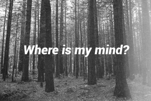 justalineinasong0: Requested by AnonPixies - Where’s My Mind