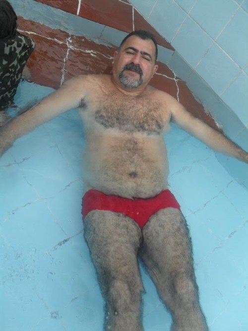 braziliansenior:  Hot brazilian bear