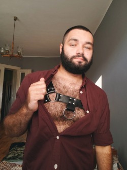 me-and-my-beard:  So I got a harness y'all!