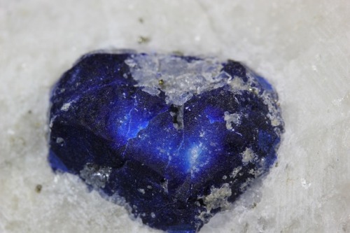 hematitehearts:  Lapis Lazuli on MatrixLocality:  Sar-e-sang, Badakhshan Province, Afghanistan  Size:  4.3 × 7 × 3.6 cm  
