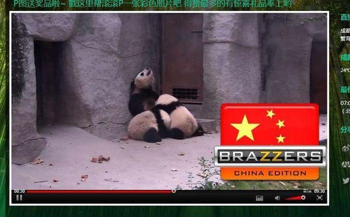 globalhumor:  Super Brazzers  He he, what? !