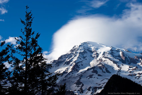 XXX zelicus:  Mount Rainier’s Halo by ~LASKANWLF photo